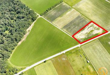 Abensberg/Sandharlanden: Grundstück mit 6.497 m² (Ackerland & Forst) zu verkaufen.