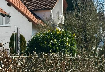 Vorschaubild Maisonettewohnung