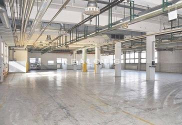 Eichstätt, ca. 3.000 m² flexibel Nutzbare Hallenfläche zu vermieten, teilbar ab ca. 1.000 m²