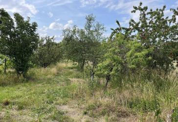 Für Handwerker: 1.800 m² Freizeit- & Landwirtschafts­grundstück mit Werkstatt