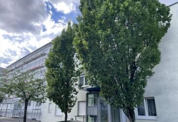 Beurkundungskosten gespart ! 3-Zimmerwohnung zum sofortigen Bezug