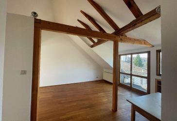 Renovierte und leerstehende 1,5 ZKB-Dachgeschosswohnung in LU-Mundenheim (3 Parteienhaus)!