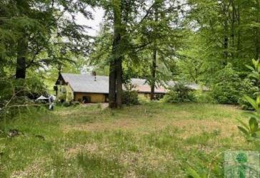 Traumgrundstück in Traumlage mit ehemaligem Gasthaus zu verkaufen!