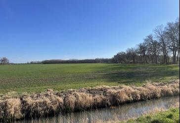 Ackerlandverpachtung ca. 180 ha in der Altmark/ Nahe der Elbe! Optimal geeignet für Obst- und Gemüseanbau!