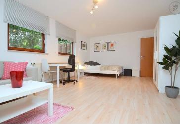 Hell möblierte 1-Zimmerwohnung in Waldbüttelbrunn mit Wlan