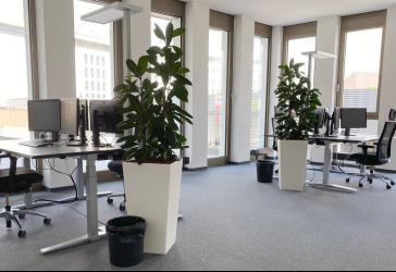 Vorschaubild Büro- /Praxis-Immobilie