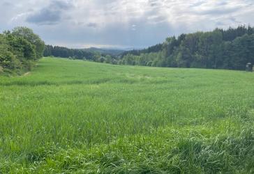 Vorschaubild Immobilie