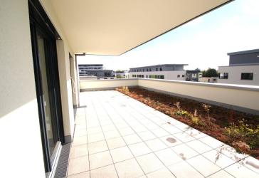 5 Zi.153,9m² Dachterrassenwohnung XXL Bezug bis 30.01.2027 möglich