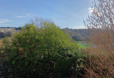 Stadtnah - gepflegte Wohnung mit Aussicht