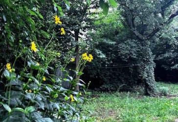 Ruhige, familienfreundliche Lage in Zehlendorf - schön eingewachsenes Grundstück mit Abrisshaus zum Bodenrichtwert