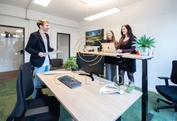 Vorschaubild Büro- /Praxis-Immobilie