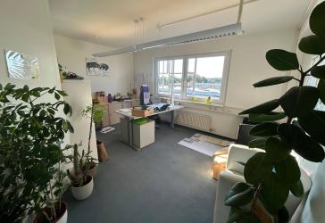 Vorschaubild Büro- /Praxis-Immobilie