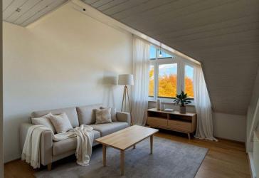 Bezugsfreie 2,5 Zimmer Wohnung mit Aussicht auf den Hohentwiel