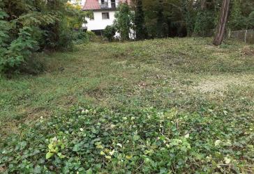 Im Herzen von Karlshorst: wundervolle Fläche für Ihre Stadtvilla