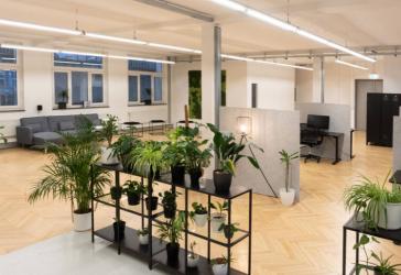 Vorschaubild Büro- /Praxis-Immobilie
