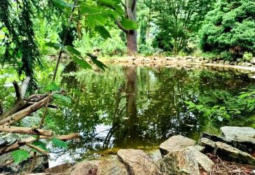 Ehemaliger Schaugarten einer Baumschule möchte wiederbelebt werden!