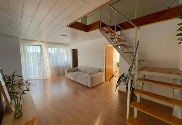 Wohnung mieten in 78315 Radolfzell