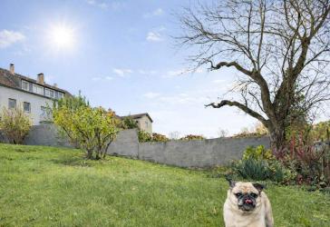 Gemütlich wohnen mit Garten & Raum für Kreativität