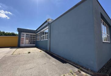 große renovierte Produktionshalle - zusätzliche Hallen- bzw. Büroflächen möglich
