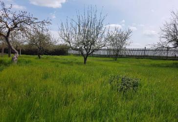 Hochwertiges, Kernsaniertes Einfamilienhaus mit Fußbodenheizung und Einliegerwohnung in Gotha, OT