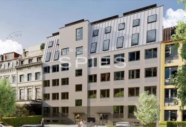 Stilvolle, gut geschnittene 3-Zimmer-Wohnung mit Balkon im Erstbezug