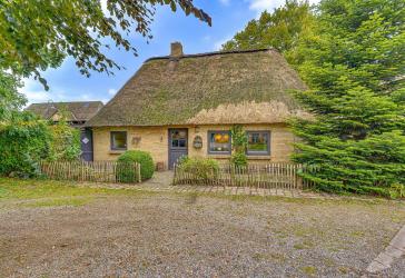 Reetgedecktes Juwel: 475m² Grdstck, 136m² Wfl., Partygarage, Kamin, ausgebautes OG & überd. Terasse!