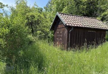 Vorschaubild Freizeitgrundstück