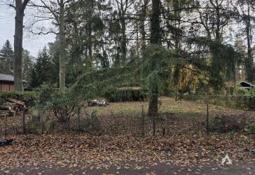 Freies Grundstück in der Nähe von Berlin sucht Traumhaus