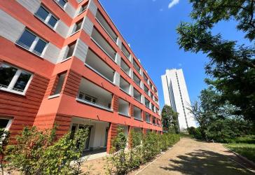 4-Zimmerwohnung im Little Ruby sucht eine Familie!