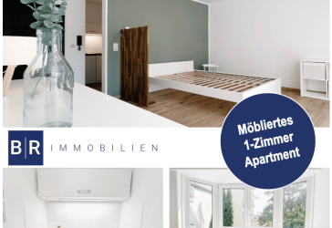 Möbliertes 1-Zimmer-Apartment - Darmstadt Innenstadt Bestlage