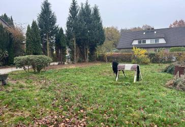 Vorschaubild Grundstück