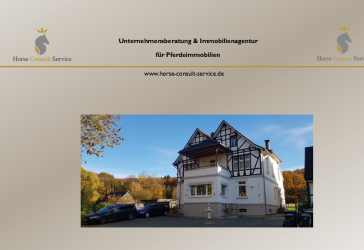 Stilvolles Herrenhaus auf parkähnlichem Grundstück – Wohnen, Vermieten, Entwickeln