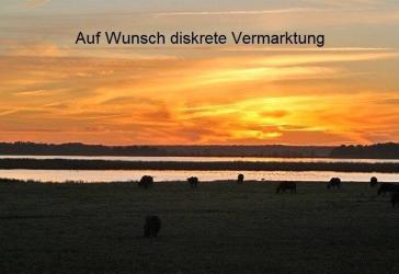 Vorschaubild Bauernhaus