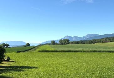 Vorschaubild Grundstück