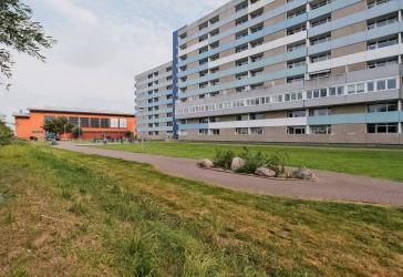 Kernsanierte und neu eingerichtete wunderschöne Wohnung mit Blick in den Grünen.