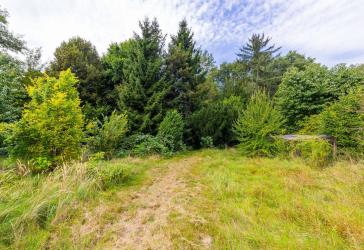 Bauträgerfreies & erschlossenes Grundstück in Eggersdorf - In Laufdistanz zum Bötzsee direkt am Wald