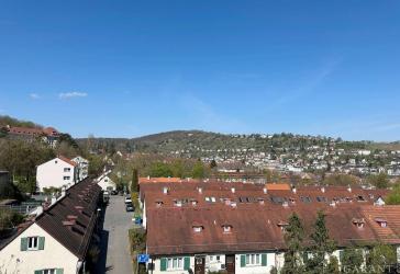 Rarität im Stuttgarter Süden