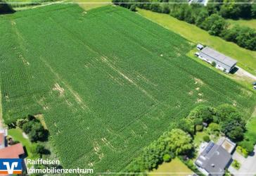 Landwirtschaftliche Fläche mit Potential im Stadtgebiet Straubing