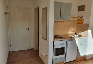 Geräumiges 1 1/2 Zimmer-Appartement