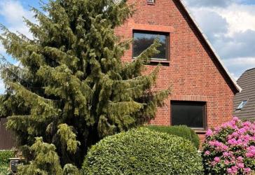 Vorschaubild Sonstiges Haus