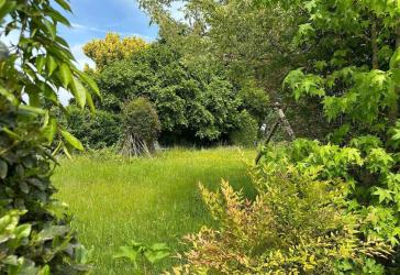 Landliebe gesucht? Mehrfamilienhaus mit Grundstücksreserve