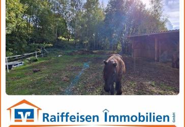Vorschaubild Freizeitgrundstück