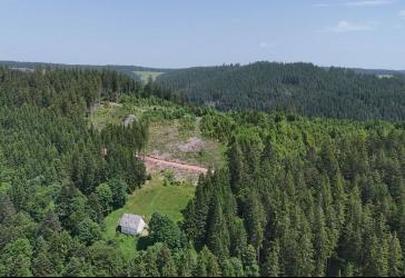 Schwarzwaldhaus in einzigartiger Alleinlage - Ruhe, Natur und Privatsphäre pur