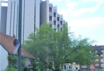 Gute Rendite: Langjährig vermietetes Apartment