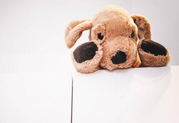 Ein Zuhause, in dem Kinderträume wachsen!