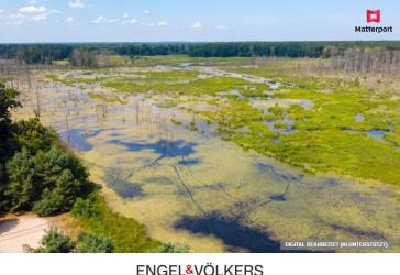 Ebenerdiger Wohntraum inmitten der Natur