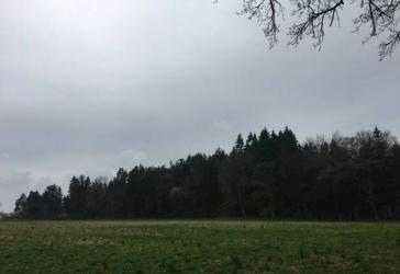 Vorschaubild Grundstück