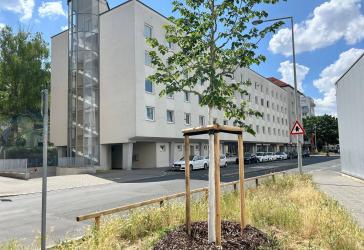 Vorschaubild Loft-Studio-Atelier