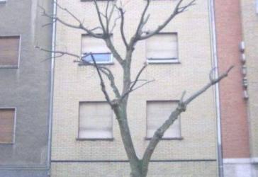 Mehrfamilienhaus mit 4 abgeschlossene Wohneinheiten, komplett Leerstand