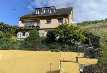 Großzügig Wohnen in Weinberglage!